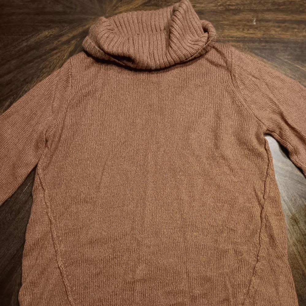 Karen Scott turtle neck pullover sweater